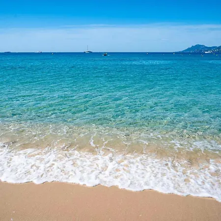 Elegant 2p Rue Meynadier 350 M Palais&beaches *